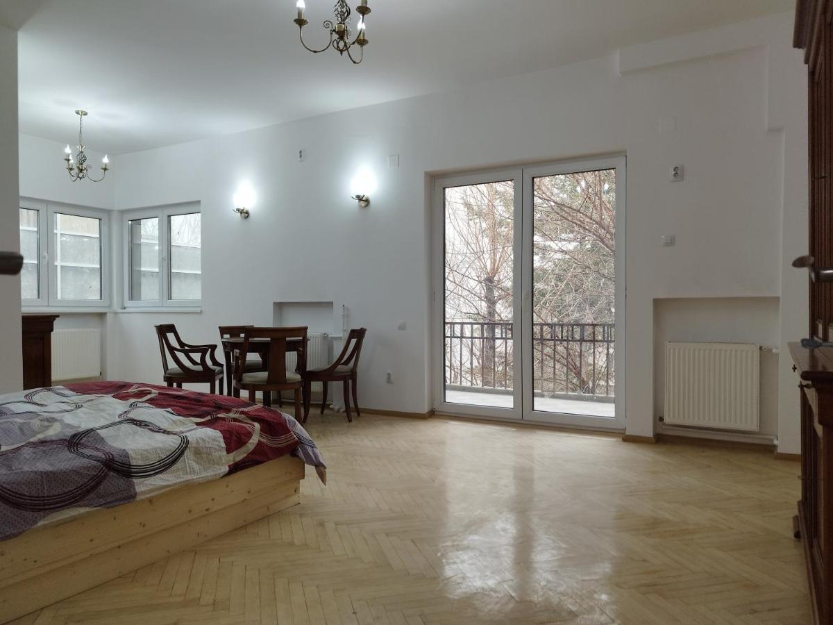 B&B Bukarest - Central appartment - heart of Bucharest - sector 1 - new renovated - open space - Bed and Breakfast Bukarest