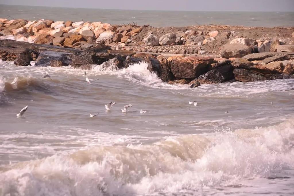 Sweet Cecina Mare - B&B