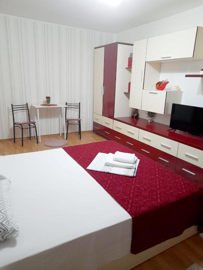 B&B Târgu Ocna - Apartament Modern Family - Bed and Breakfast Târgu Ocna