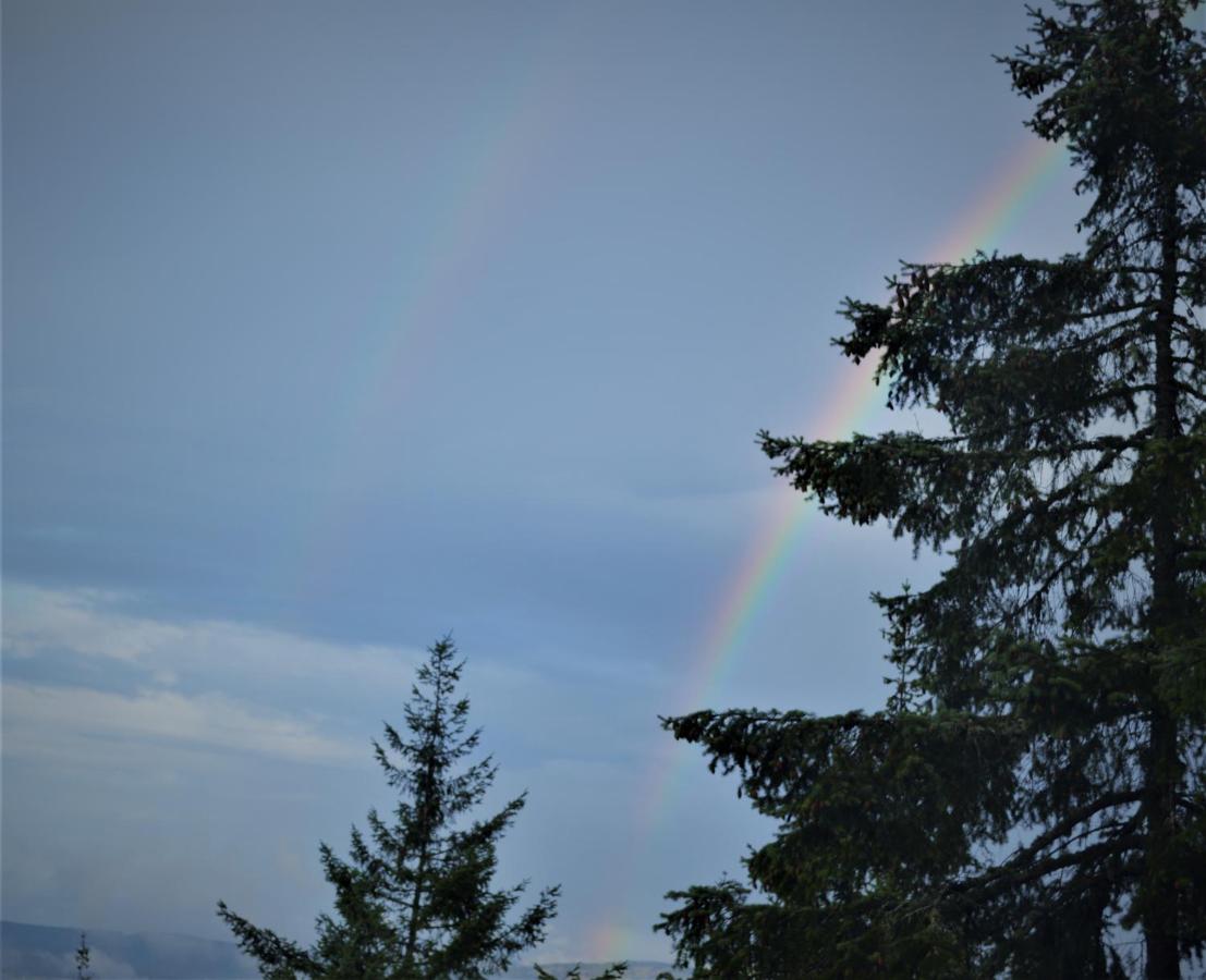 Entire Queen Room with Sea View