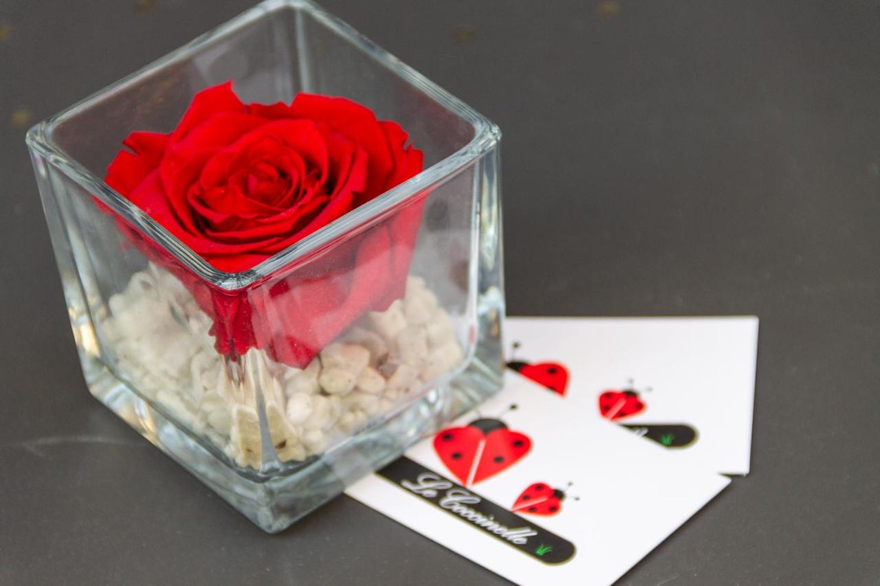 Le Coccinelle Home - B&B Mandello del Lario