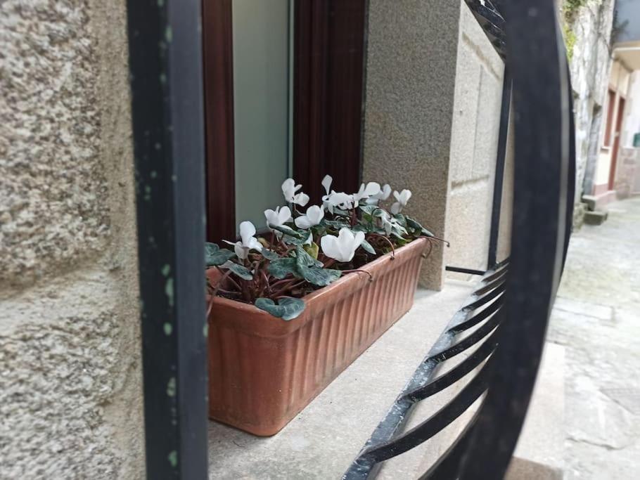 La Casita del Camino - Bed and Breakfast