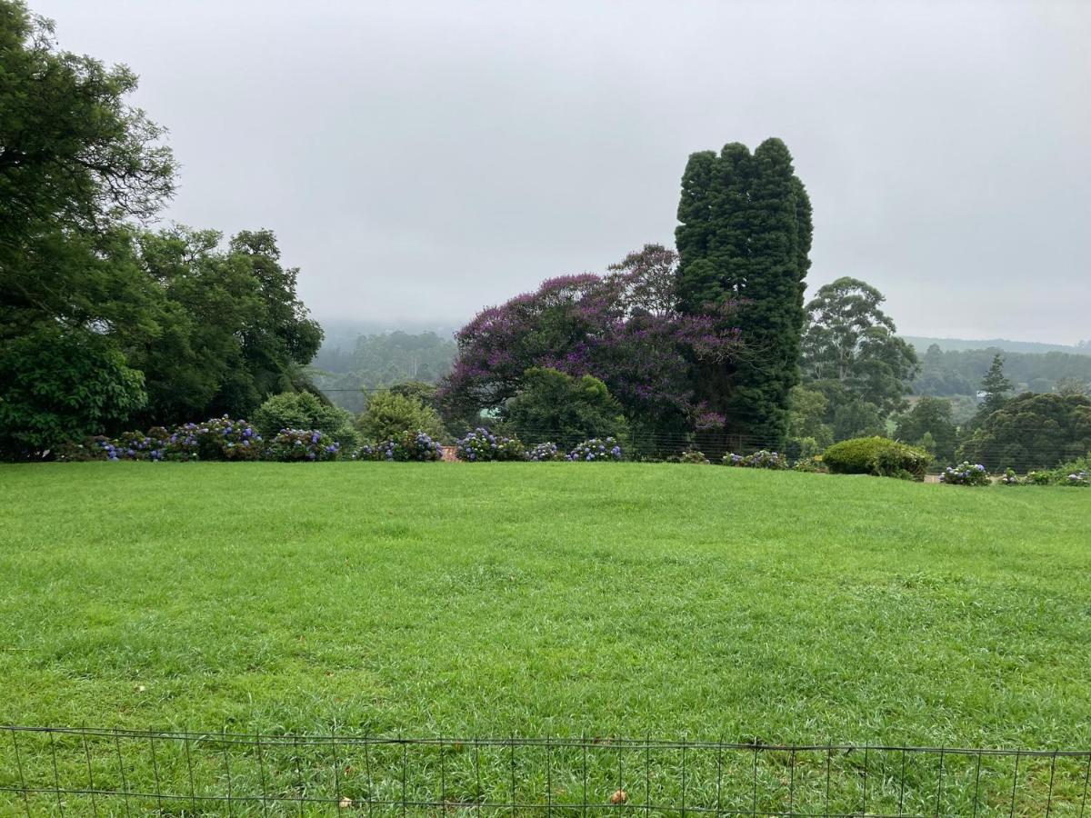 Irish Hills - two bedroom apartment - B&B Hilton