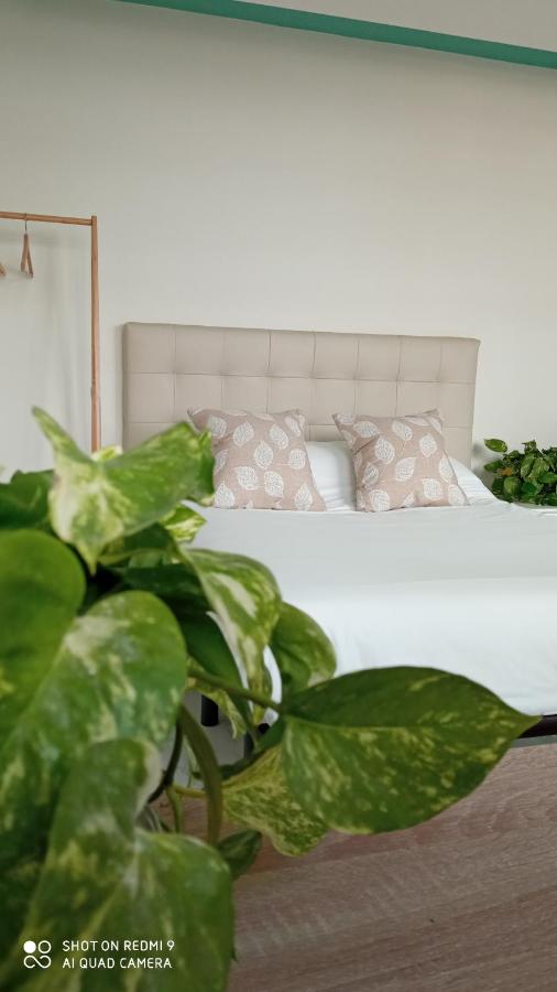 Studio met Uitzicht op het Zwembad