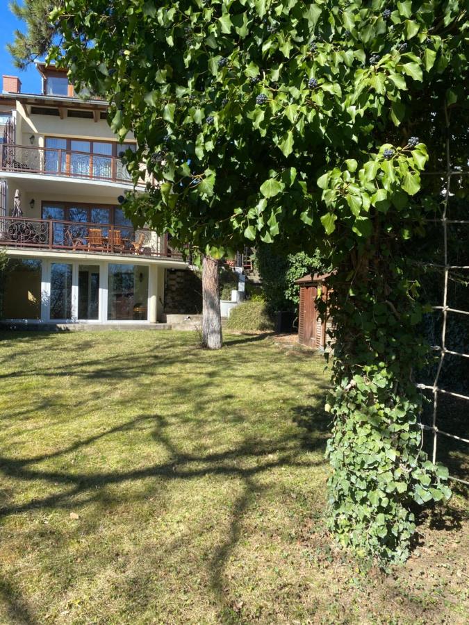 Hilltop Wellness Villa-big garden, sauna, hot tube - Chambres d’hôtes Pécs