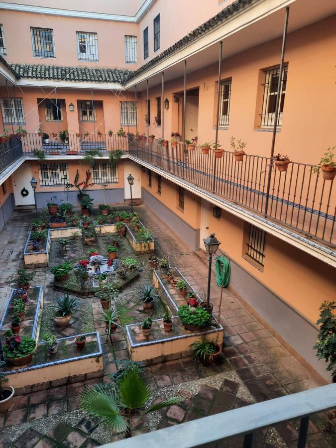 Cozy in Seville - Chambres d’hôtes