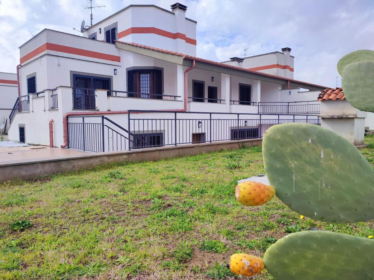 Villa Bassani, grande e luminosa ideale per gruppi - Ferienwohnung Infernetto