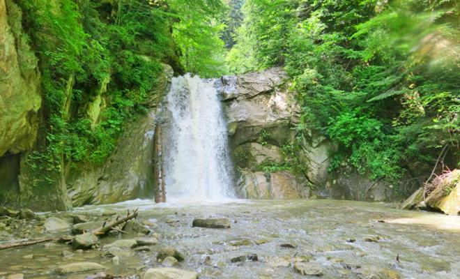 Mister Guest - Ferienwohnung Nehoiu