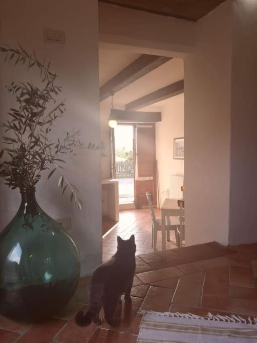 Fantastic Apartment in the Heart of Toscana - Ferienwohnung