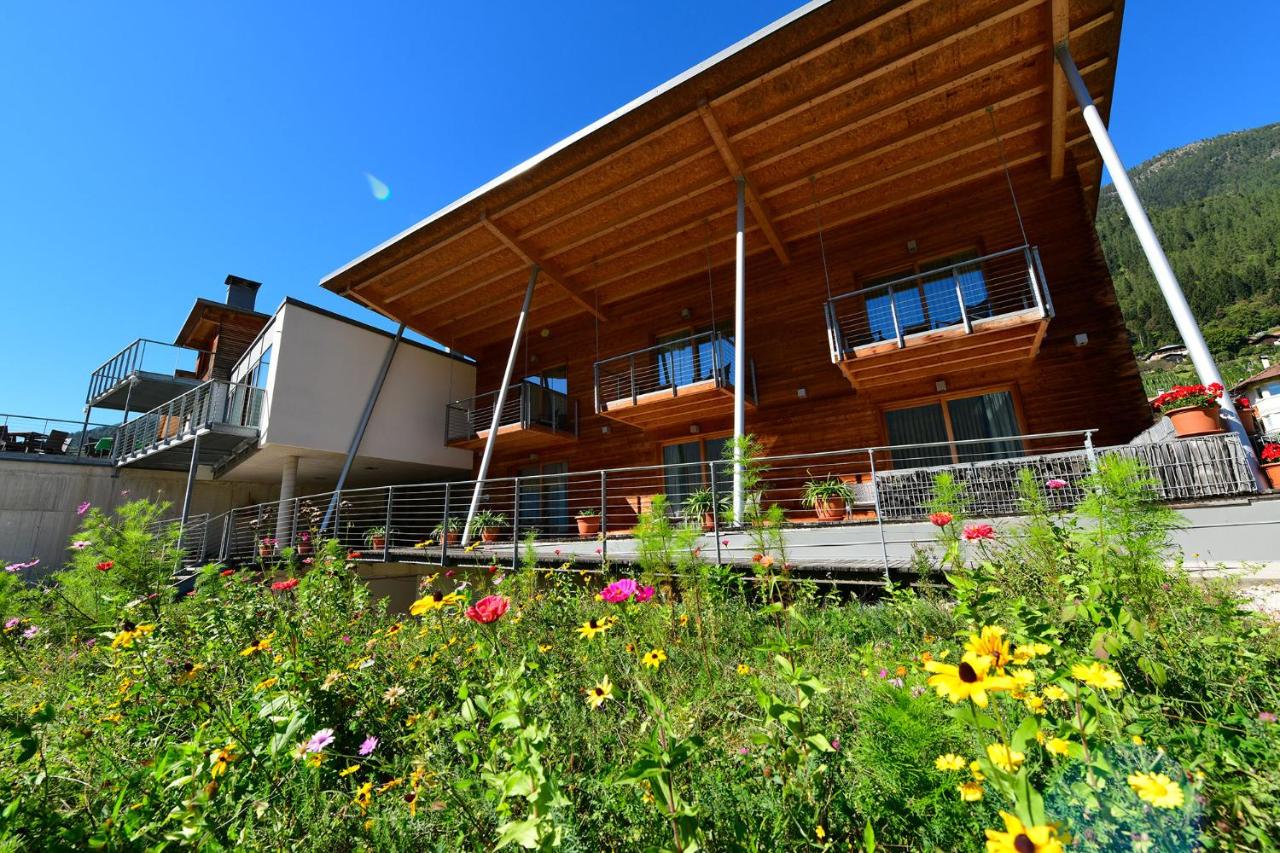 Agritur Anselmi - B&B