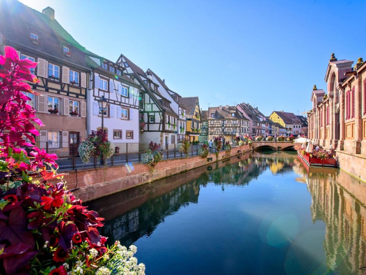 NEW LOFT CENTRE VIEILLE VILLE, VUE PETITE VENISE Parking, Balcon 2 chambres - Bed and Breakfast Colmar