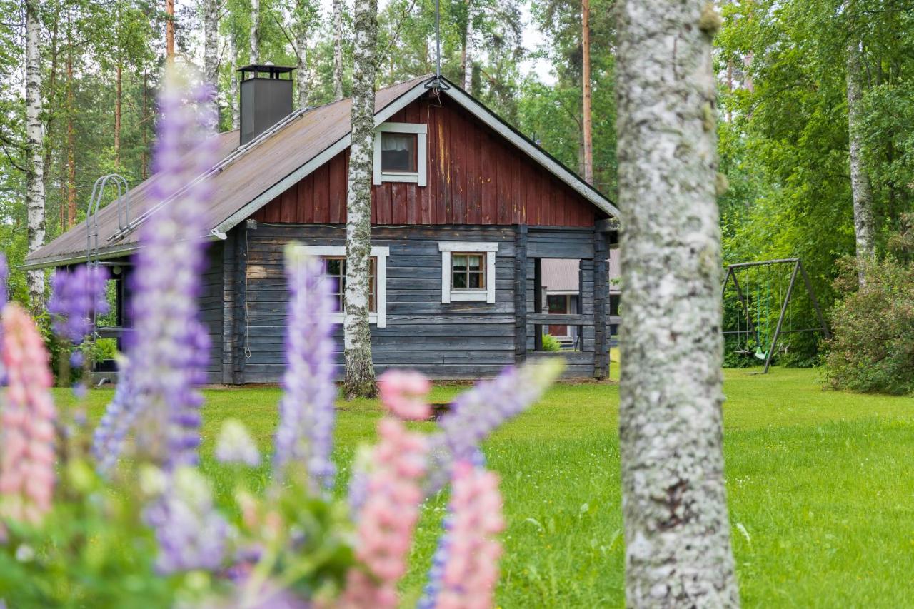 Cottage with Sauna (6 Adults)