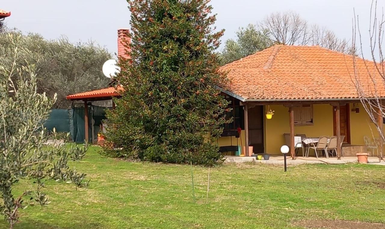 B&B Litochoro - Olympos House - Bed and Breakfast Litochoro