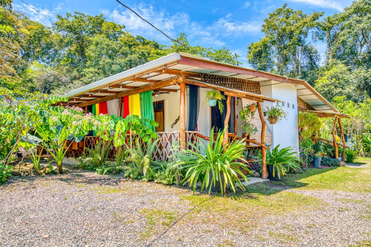 Colibri Ecolodge 3 minutes walk to beach and town - Chambres d’hôtes