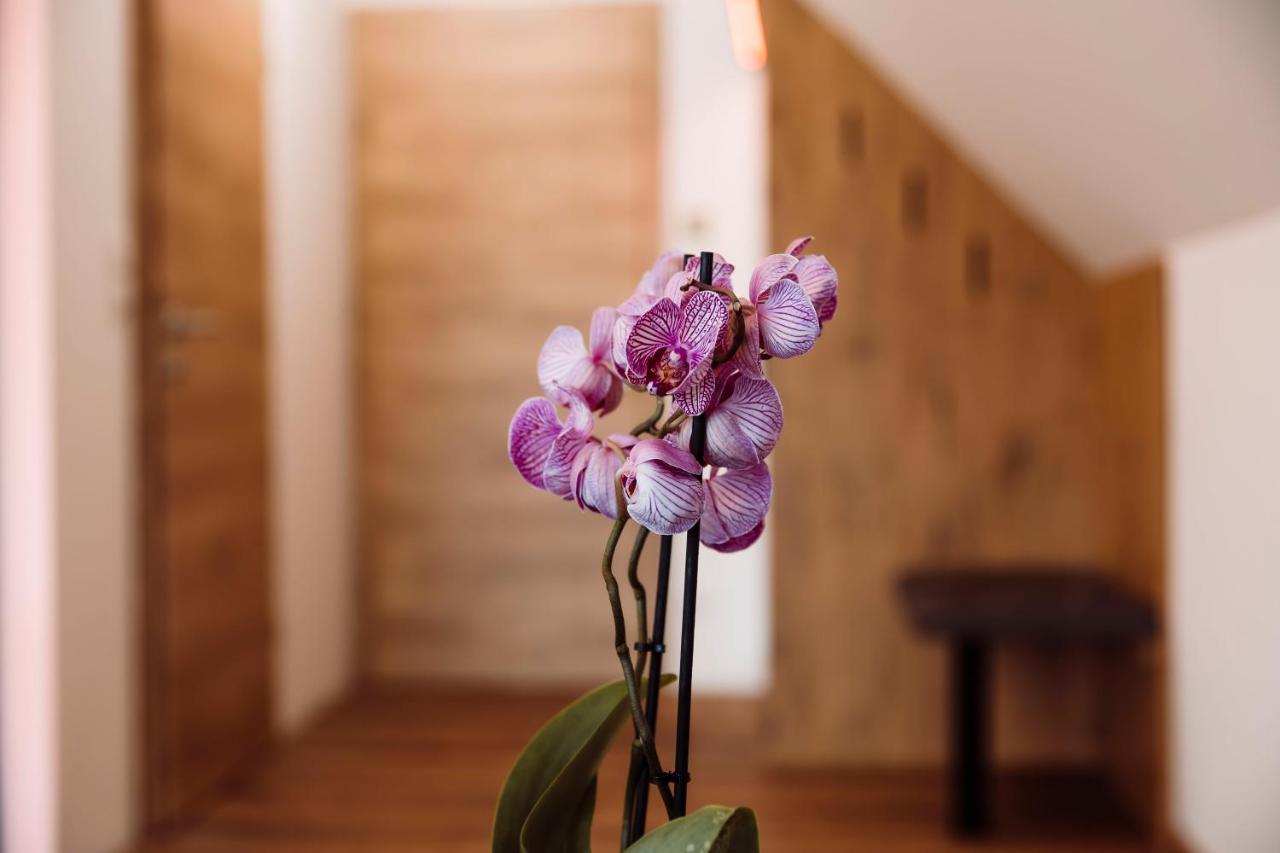 Camera Queen Superior