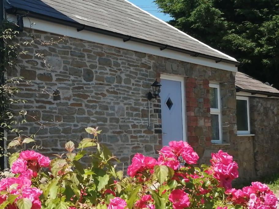 Converted rural stone cottage, Swansea - Bed and Breakfast