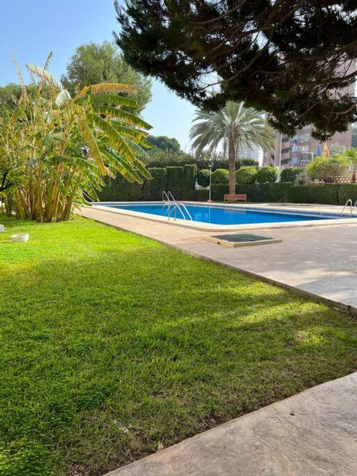 B&B Alicante - Apartamento Levante - Bed and Breakfast Alicante