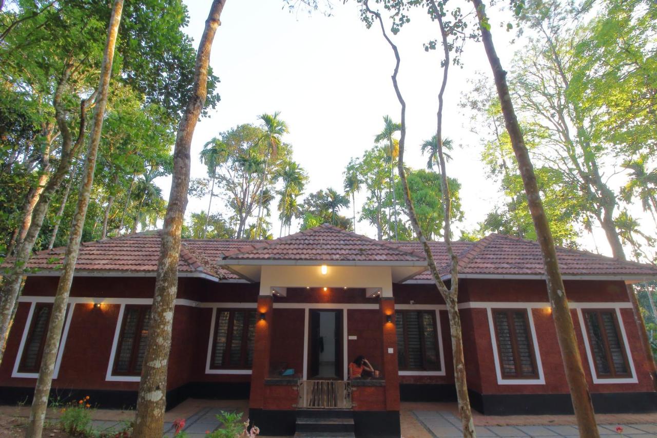 Tall Trees - Modern forest Villa in Wayanad - B&B