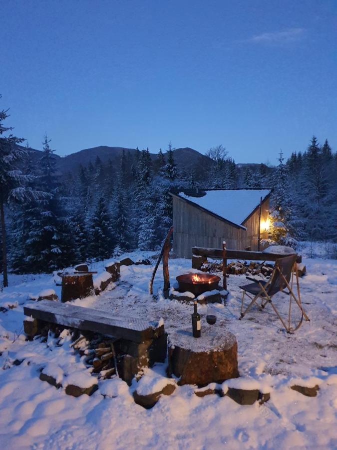La hambare - Bed and Breakfast Colibița