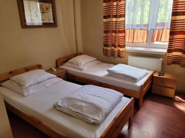 Large Twin Room