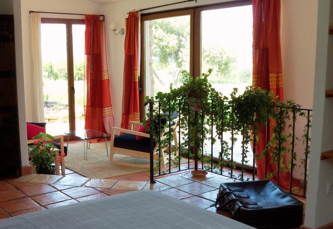 Appartamento Superior con 1 Camera da Letto 