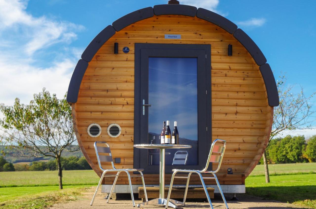 Domaine Joseph LAFARGE Wine Resort Oeno-tonneaux expérience - B&B Lugny