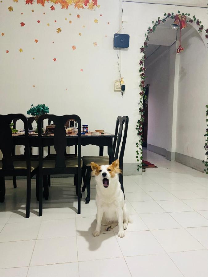 Maple Homestay - Ferienwohnung