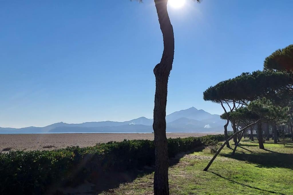 Appartement rénové avec balcon à 100 m de la plage - B&B Argeles
