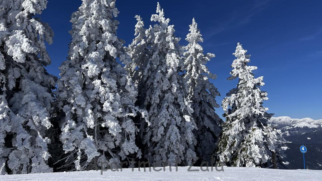 Apartamento de 2 dormitorios