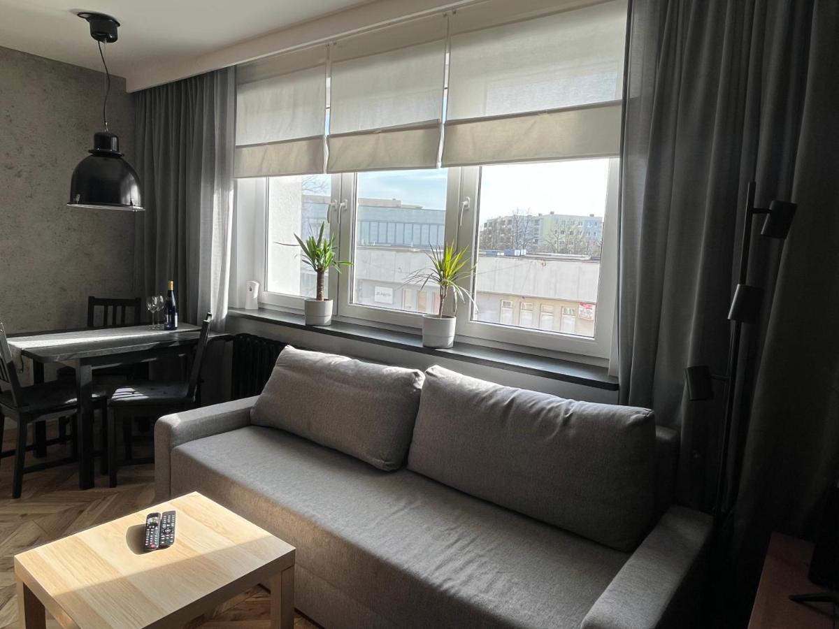Luksusowy loft nad jeziorem Swarzędz - Poznań TV wi-fi pralko-suszarka piekarnik