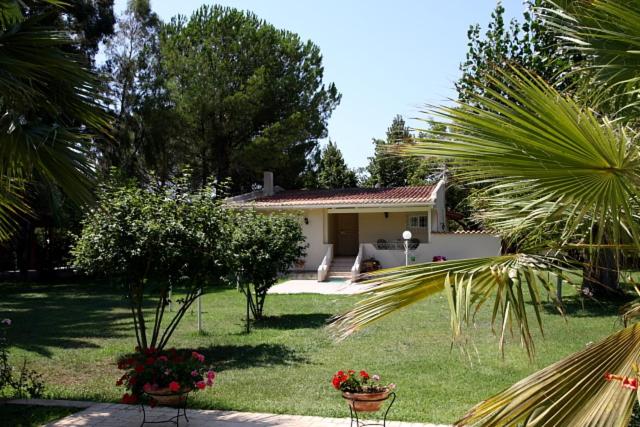 Villa Vivere - B&B Karyófyto