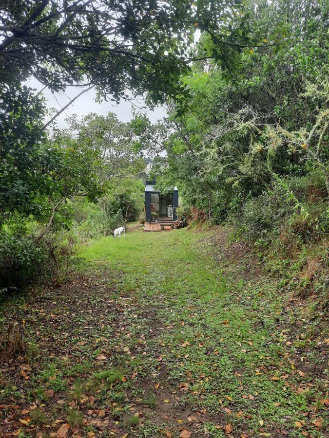 Tiny Home Trails End - B&B