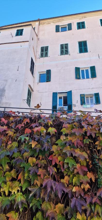 B&B Imperia - Little Parasio - Bed and Breakfast Imperia