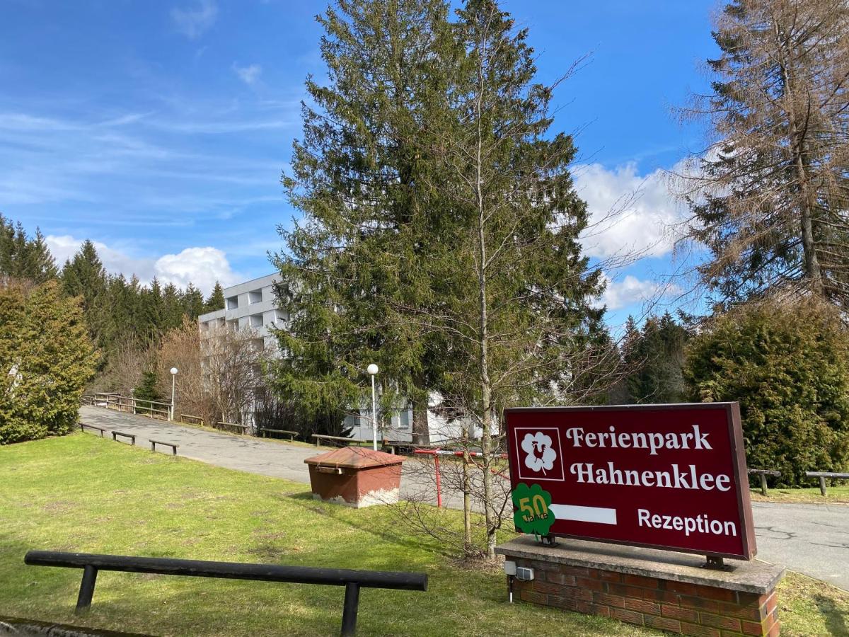 FeWo-Hahnenklee - Ferienwohnung
