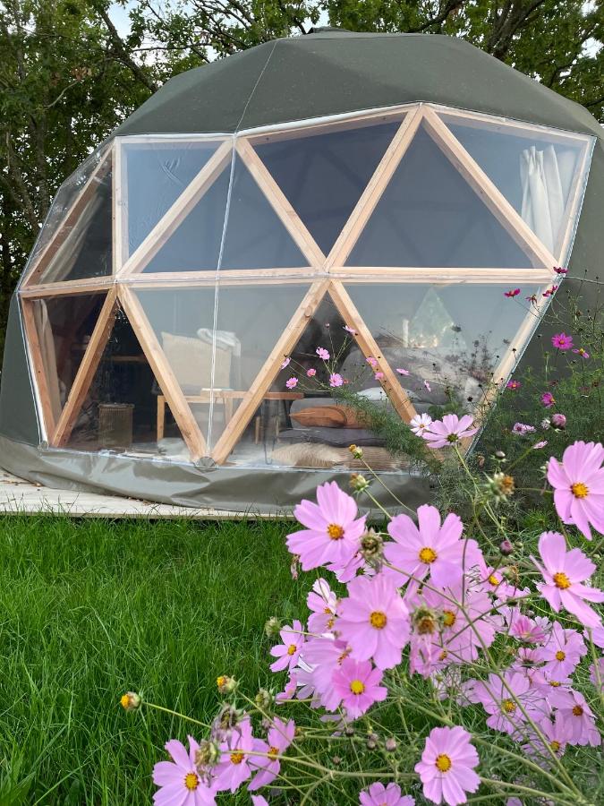 Dôme insolite Cèdre jacuzzi et petits déjeuners inclus - Chambres d’hôtes