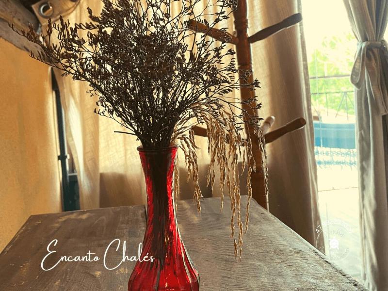 Encanto Chalés – 150m da Praia Grande – Penha – SC - B&B