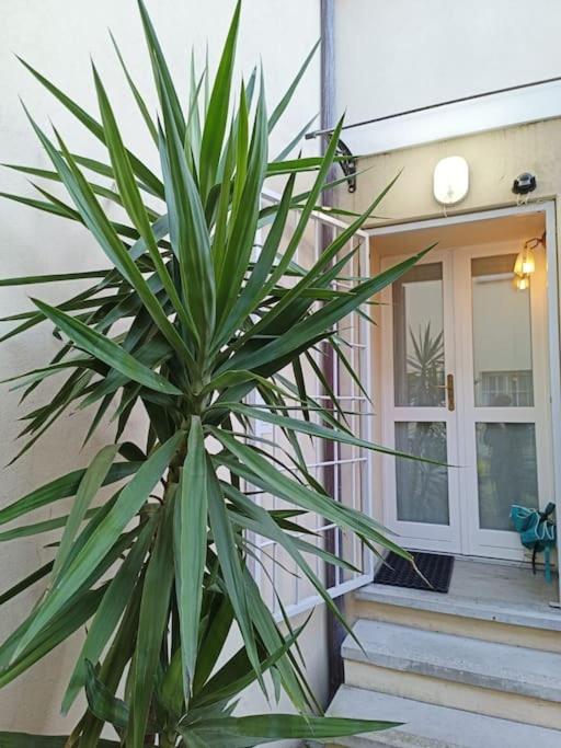 La Loggia-APP. PRIVATO in Centro - Ferienwohnung