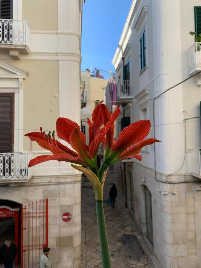 Le Marinelle Aff Trani - B&B