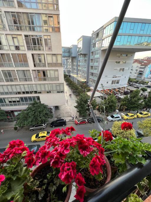 Mimosa’s apartment with lovely balcony - B&B