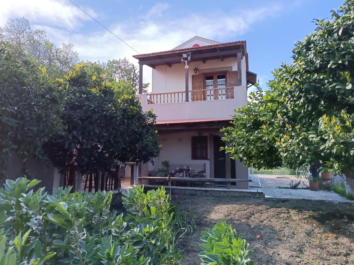 Traditional Thea Home - B&B Váti