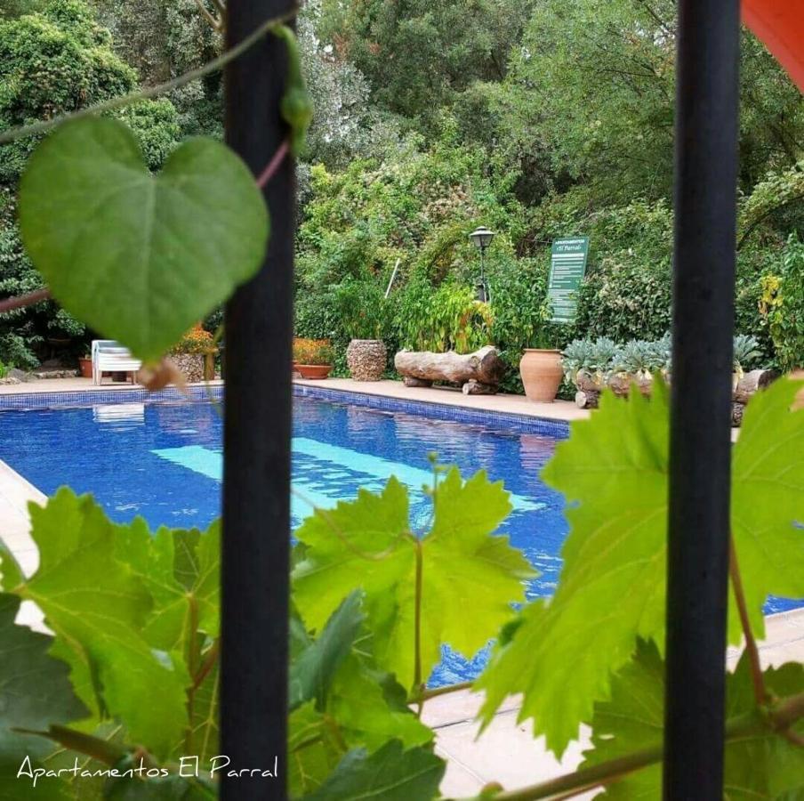Apartamentos El Parral - B&B