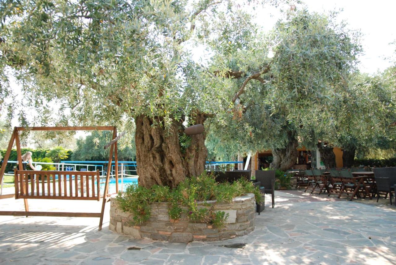 Monemvasia Hotel - Bed and Breakfast