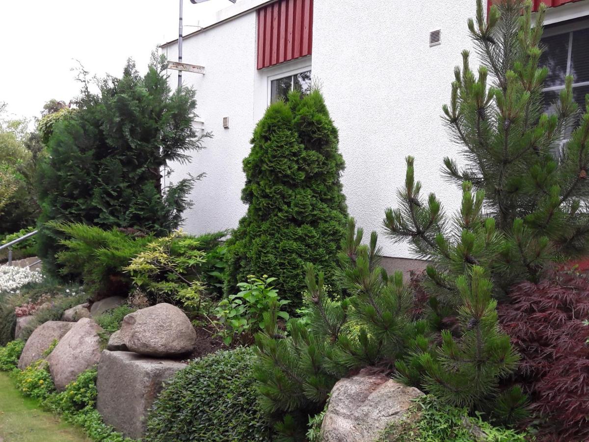 Ferienappartements zwischen Meer und Bodden App 02 - Ferienwohnung Wustrow