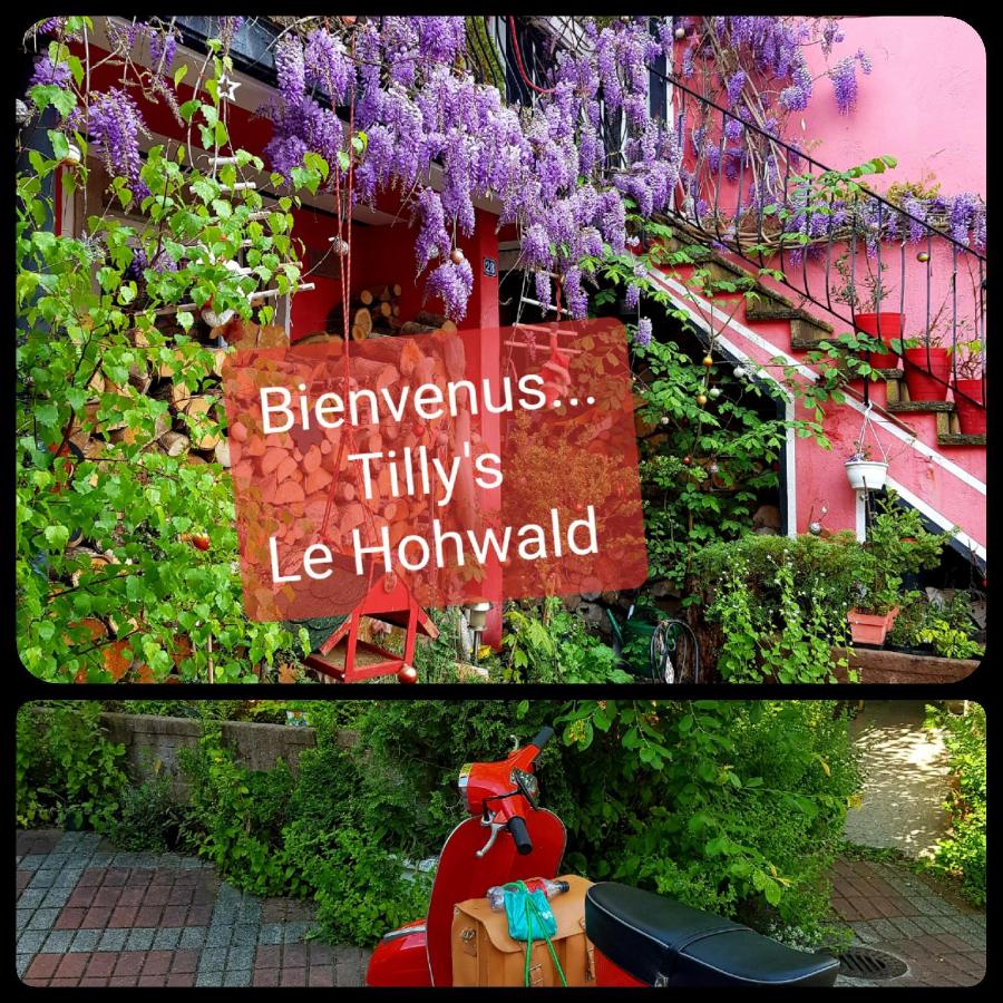 B&B Le Hohwald - Tilly's B&B and apartment house - Bed and Breakfast Le Hohwald