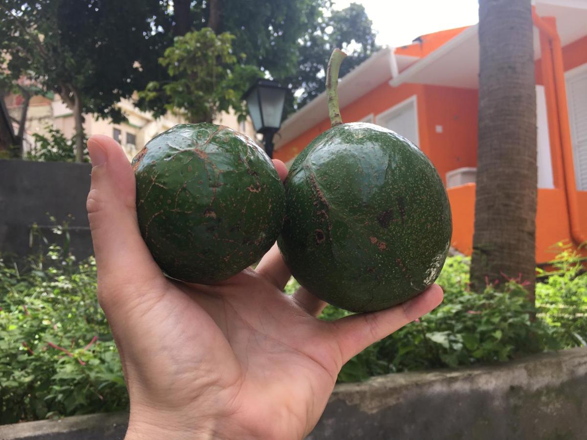 Maison Champs-Élysées - B&B San Paolo