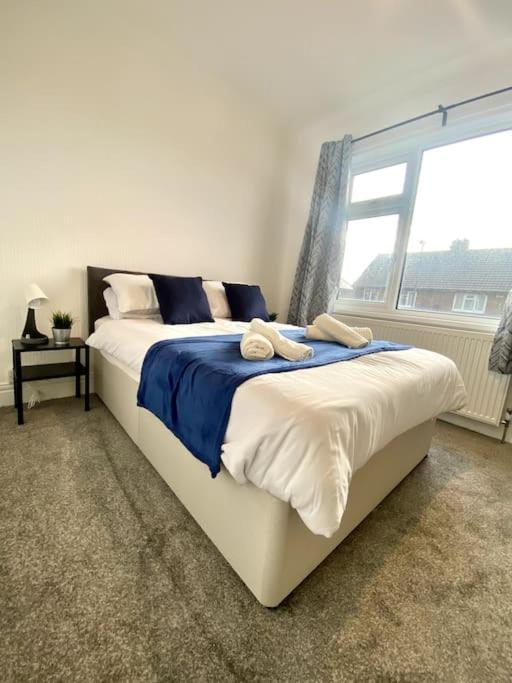 Private Northumberland Apartment - FREE PARKING - Chambres d’hôtes