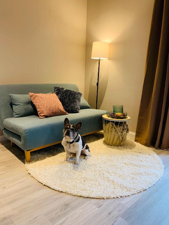 Apartment mit 1 Schlafzimmer