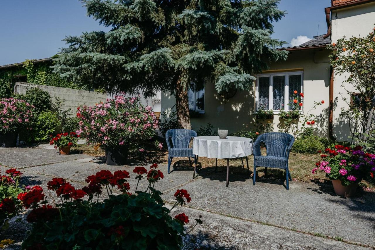 Das kleine Haus - B&B Breitenbrunn