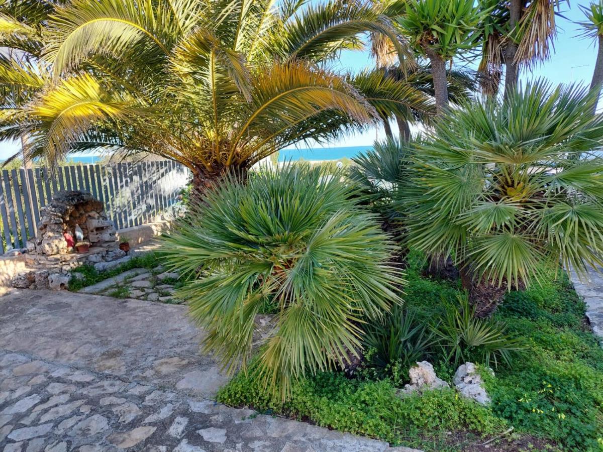 Perla Rosa - B&B