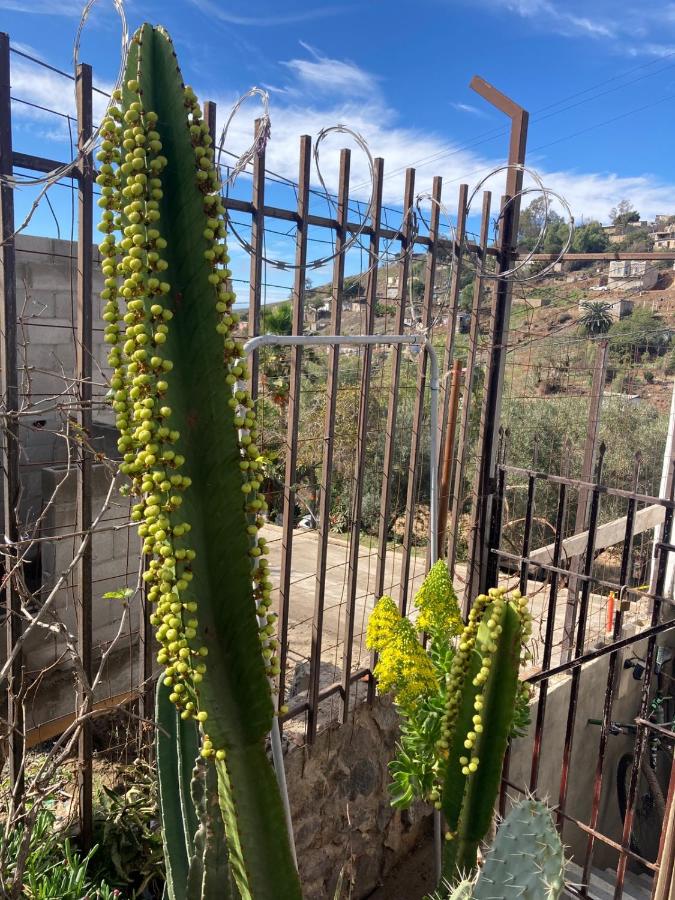 B&B Ensenada - Friendly loft - Bed and Breakfast Ensenada